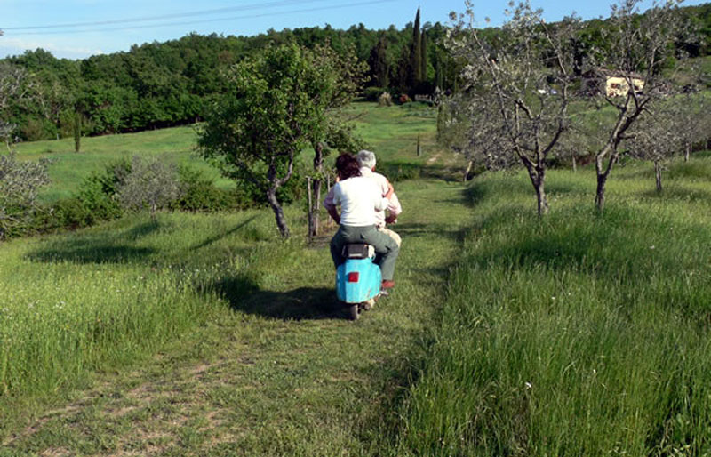 To the olive grove at the mystical Vespa 50