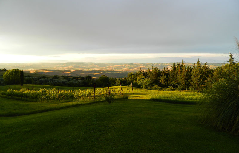 La valle vista dalla vignetta