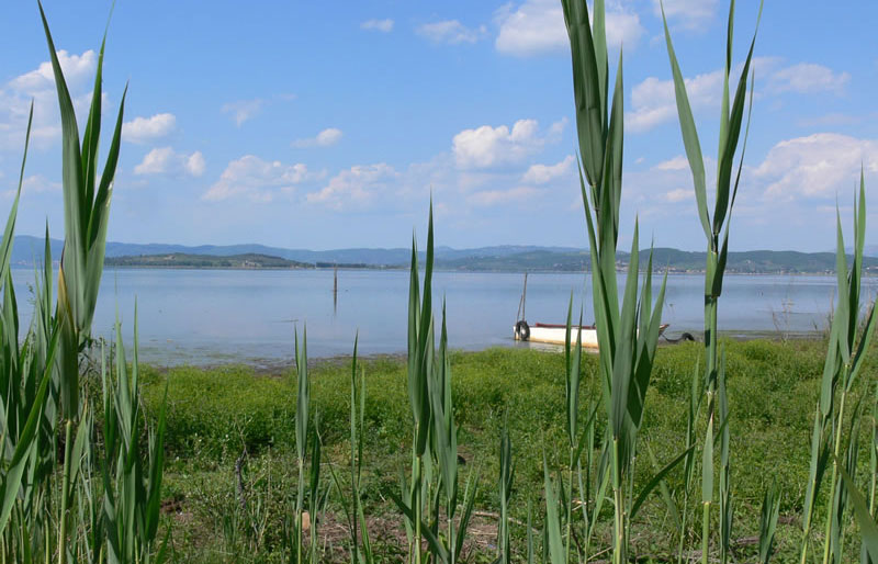 Lago di Bolsena - Ansicht