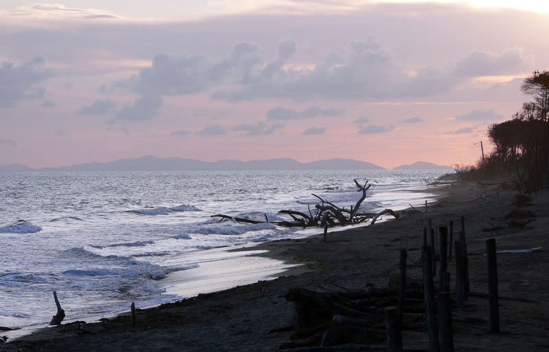 Nature beach in Parco dell'Uccellina